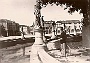 il prato-02